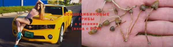 винт Беломорск